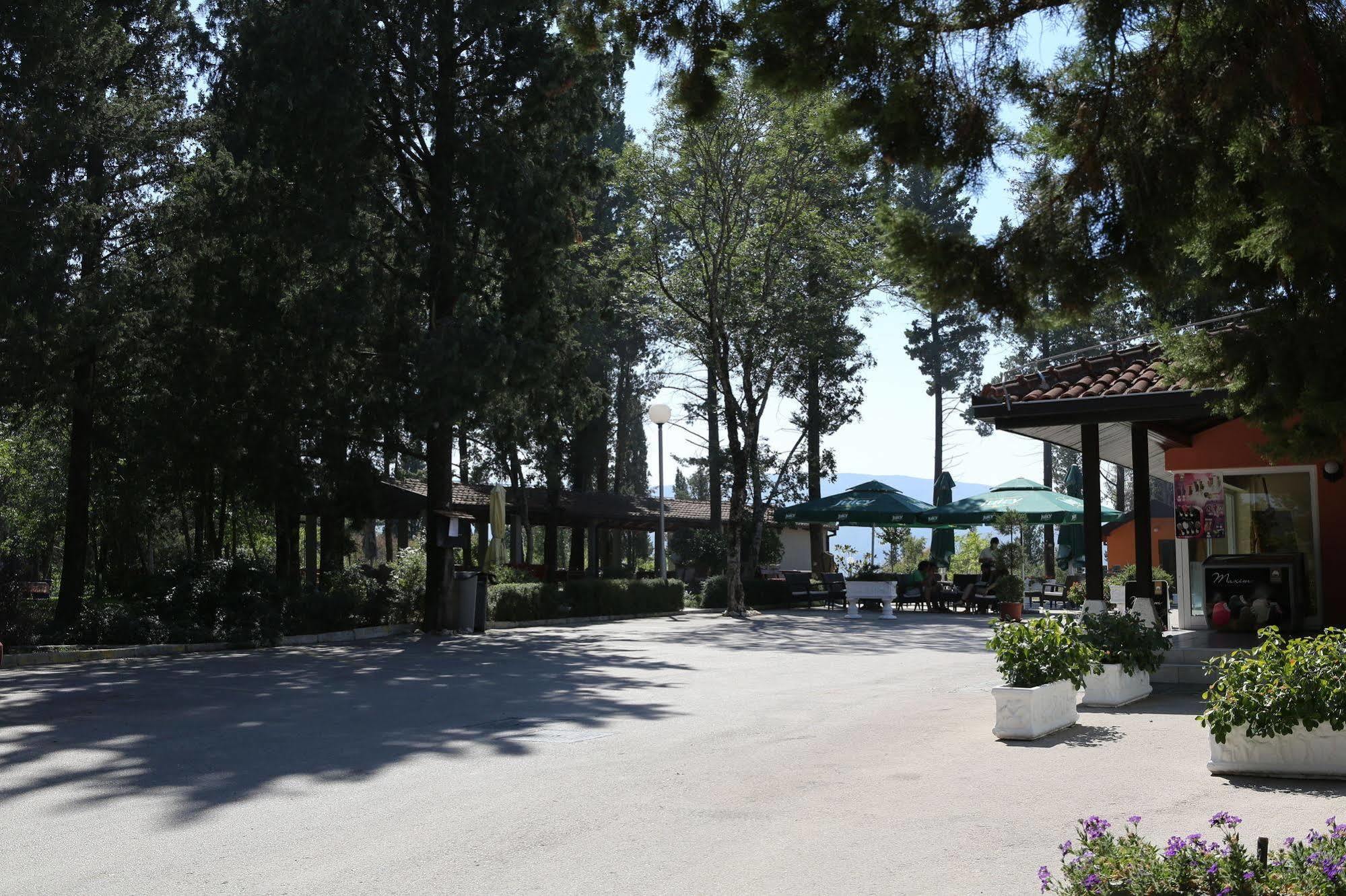 Hotel Park Visici Экстерьер фото